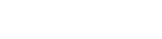 Шиннер Шиннер